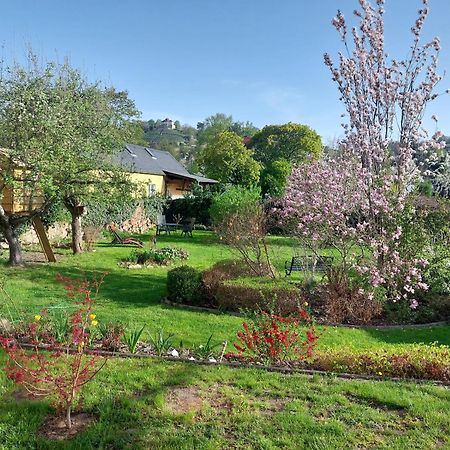 Villa Tini Radebeul Ngoại thất bức ảnh