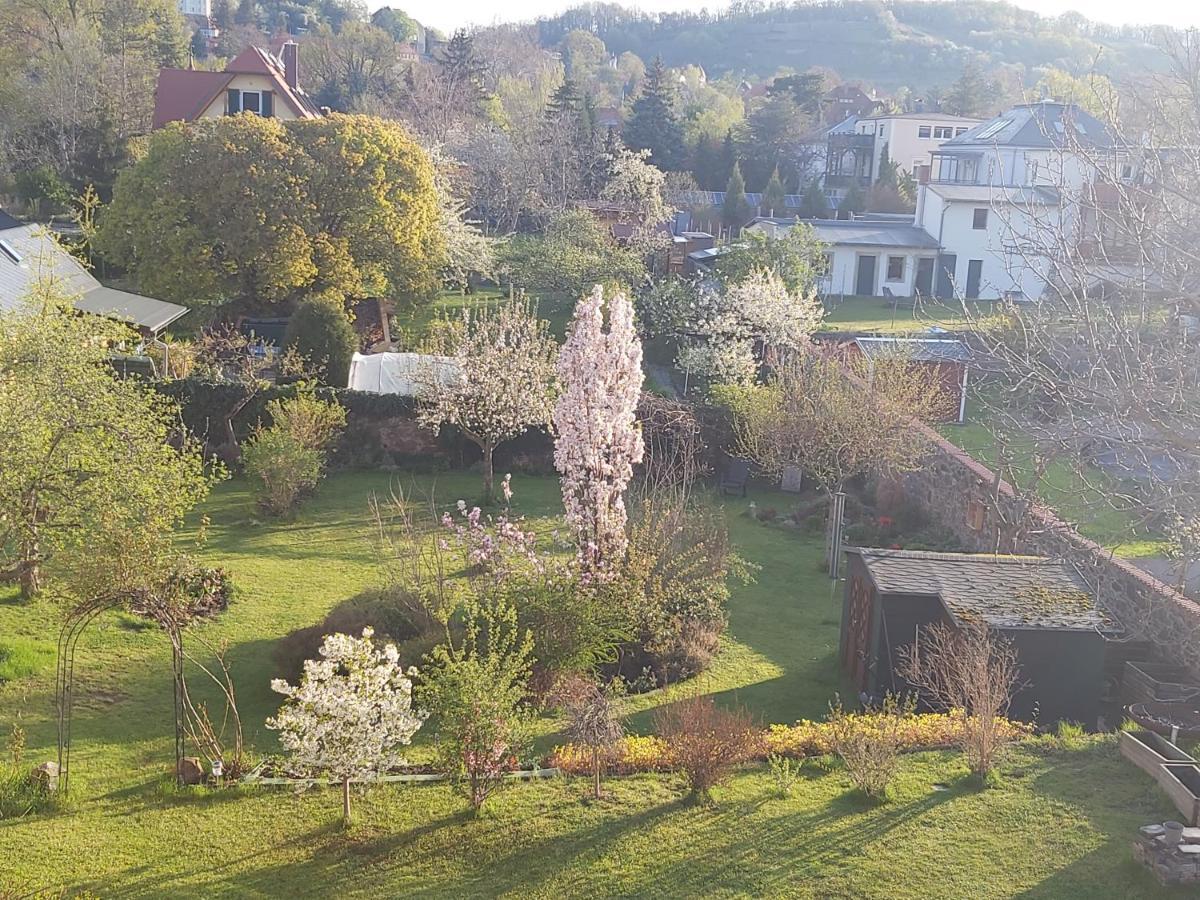 Villa Tini Radebeul Ngoại thất bức ảnh